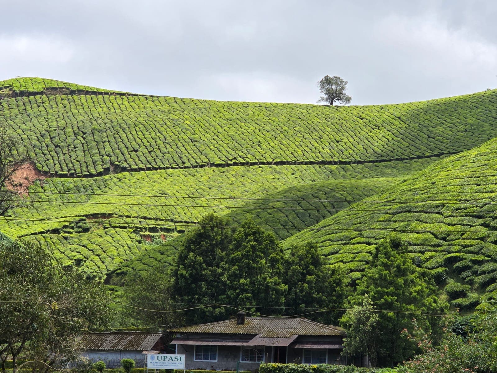 Kerala & Kodaikanal Escape  1
