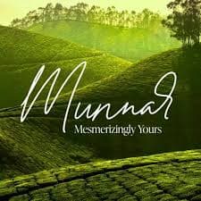 One Day Trip to Munnar from Vytila 1